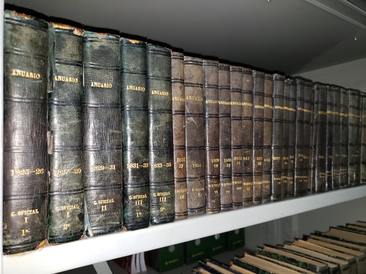 PUBLICACIONES OFICIALES MONOGRAFIAS